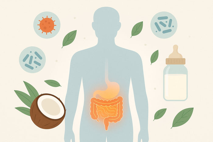 Graphic depicting all the items discussed on this blog article